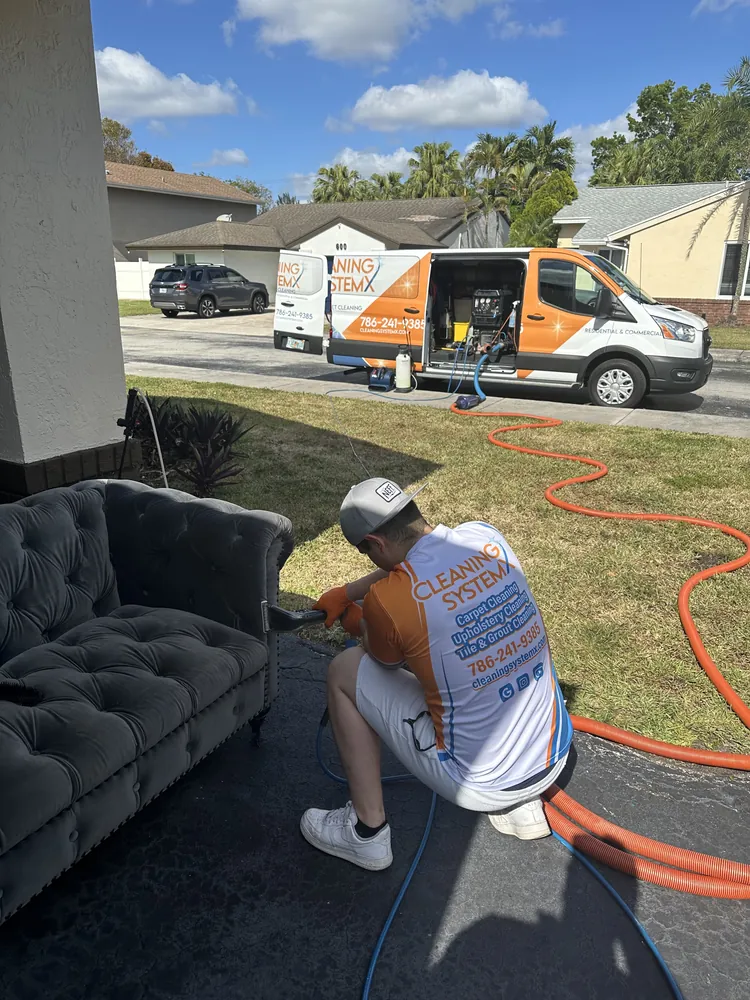 Upholstery Cleaning